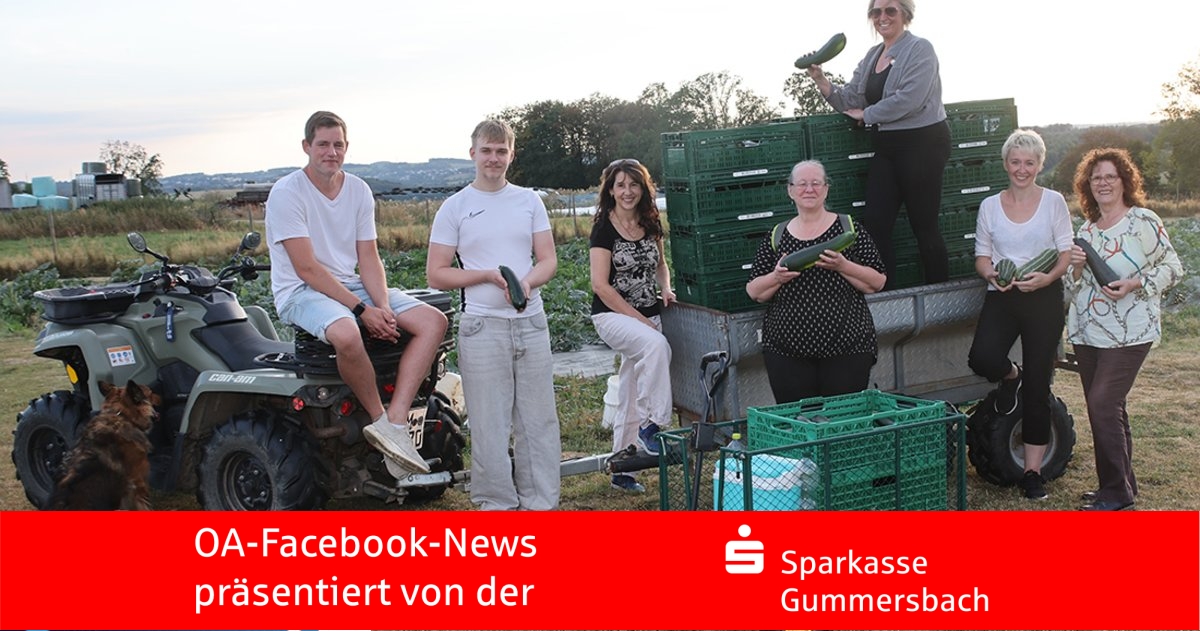 Zucchini für den guten Zweck